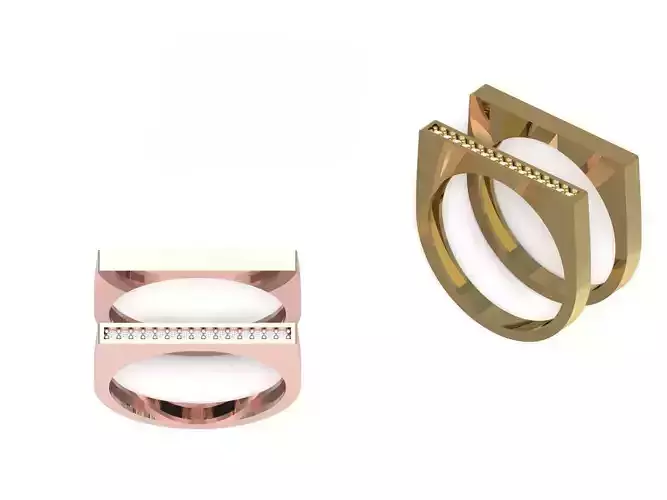 Twin ring 3D print model