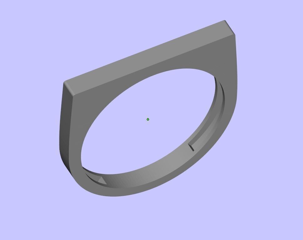 Twin ring 3D print model_2