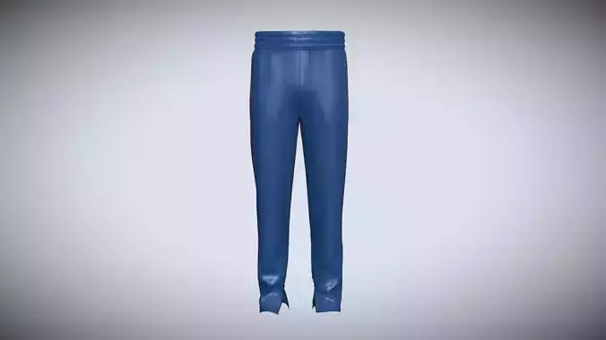Trouser Pant-Zipper In Low  Poly