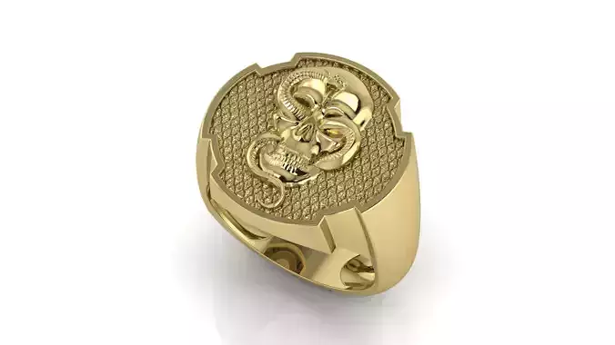 Snake and Skull Ring