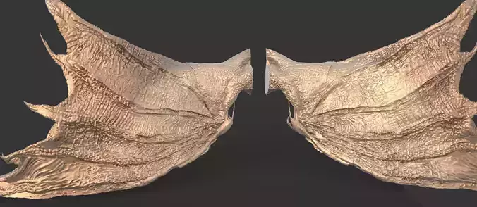 Arch Dragon Print Wings