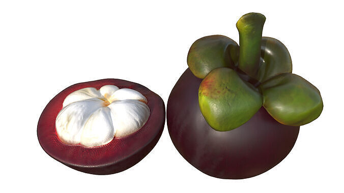 Mangosteen Low-poly 3D model 2