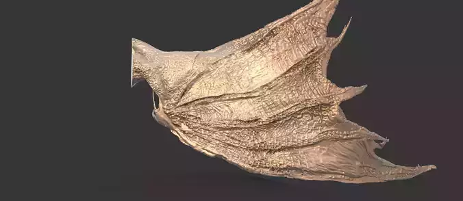Arch Dragon Print Wing 3D print model