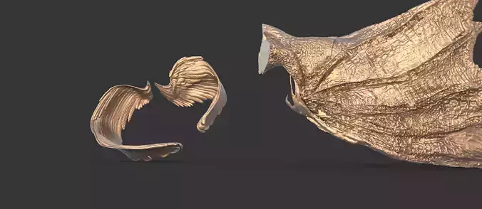 Arch Angel And Arch Dragon wings 