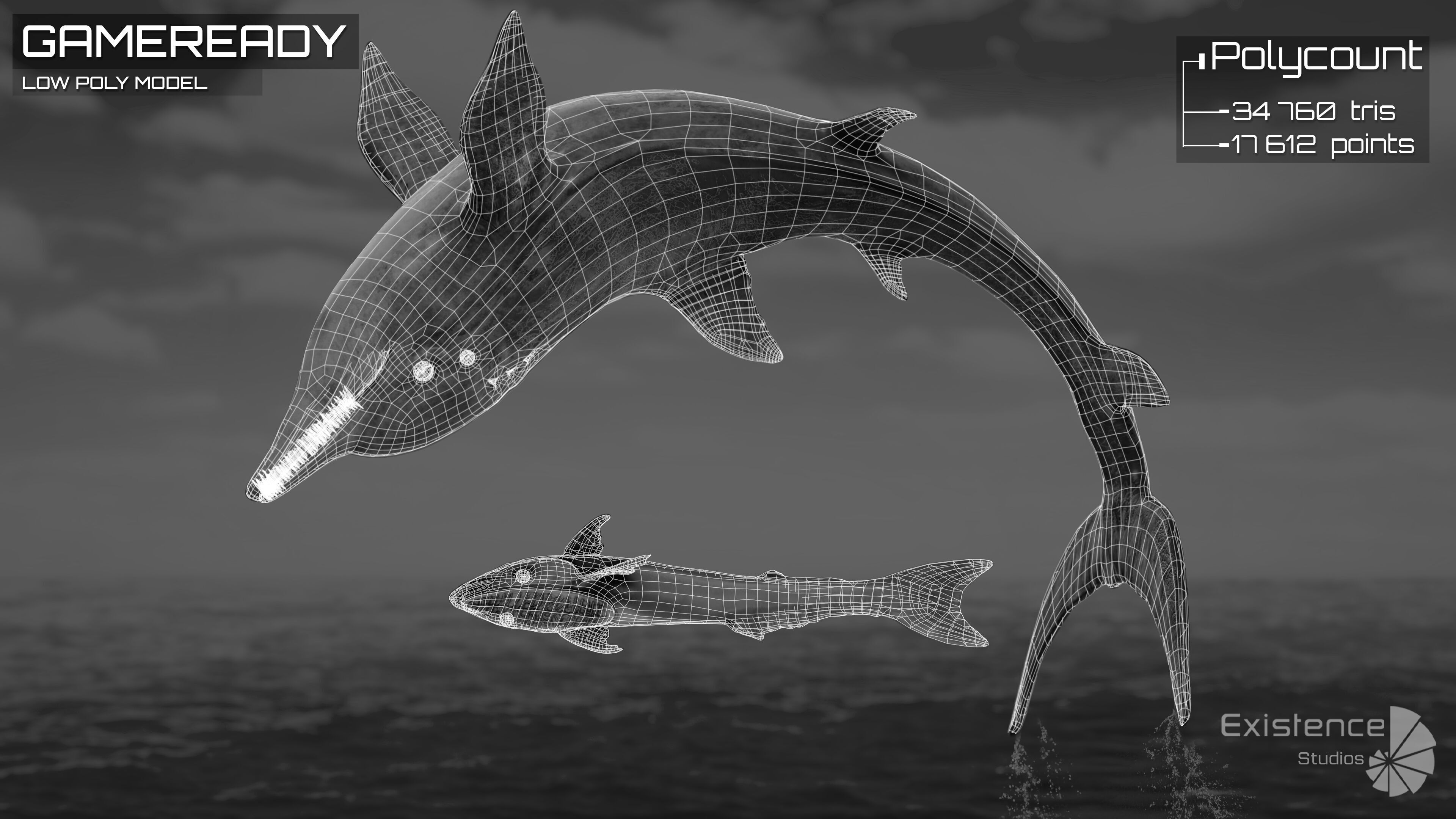 Dolphin and Remora - Realistic Animated Marine Monster - 62 Low-poly 3D model_5
