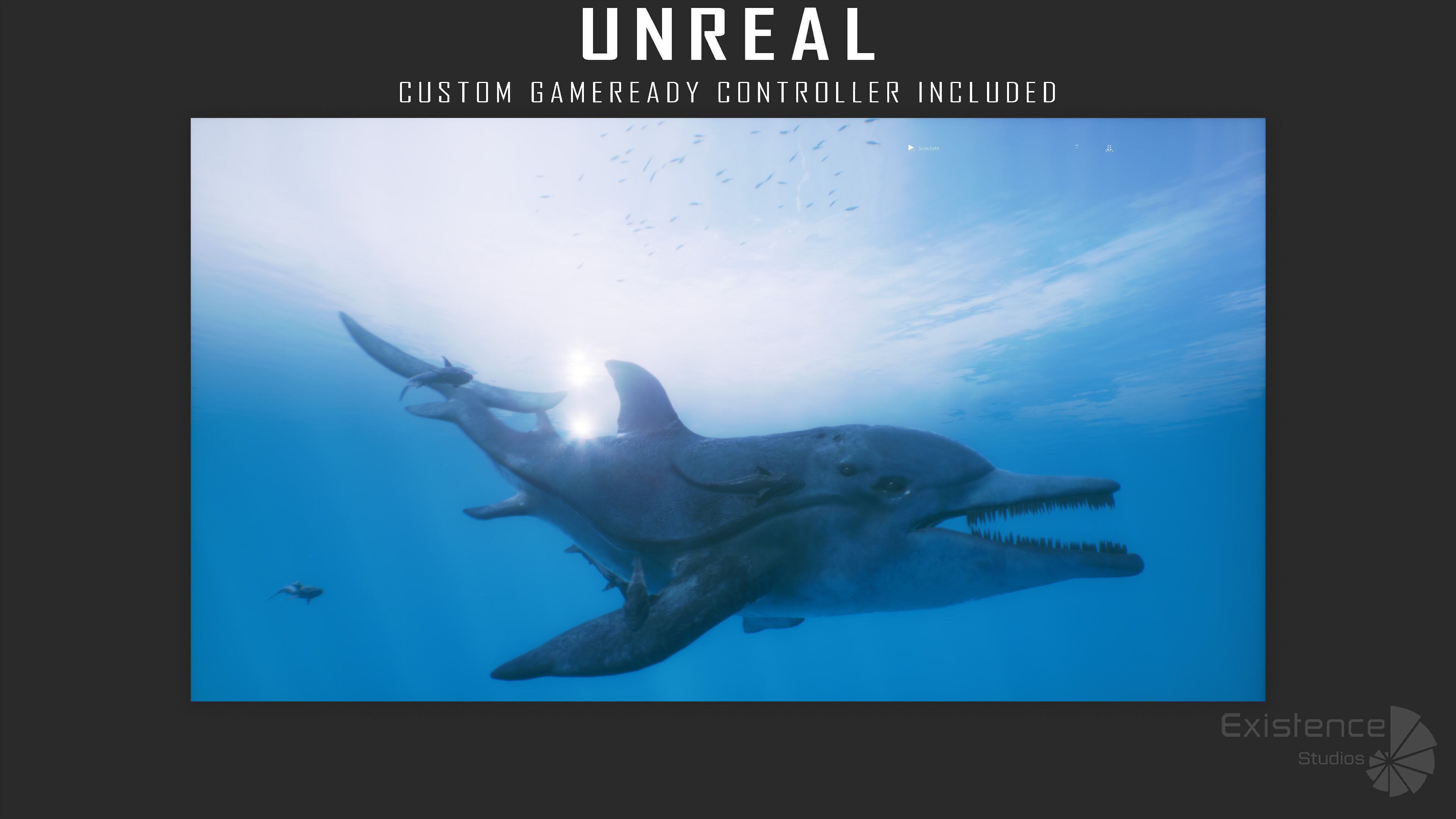 Dolphin and Remora - Realistic Animated Marine Monster - 62 Low-poly 3D model_25