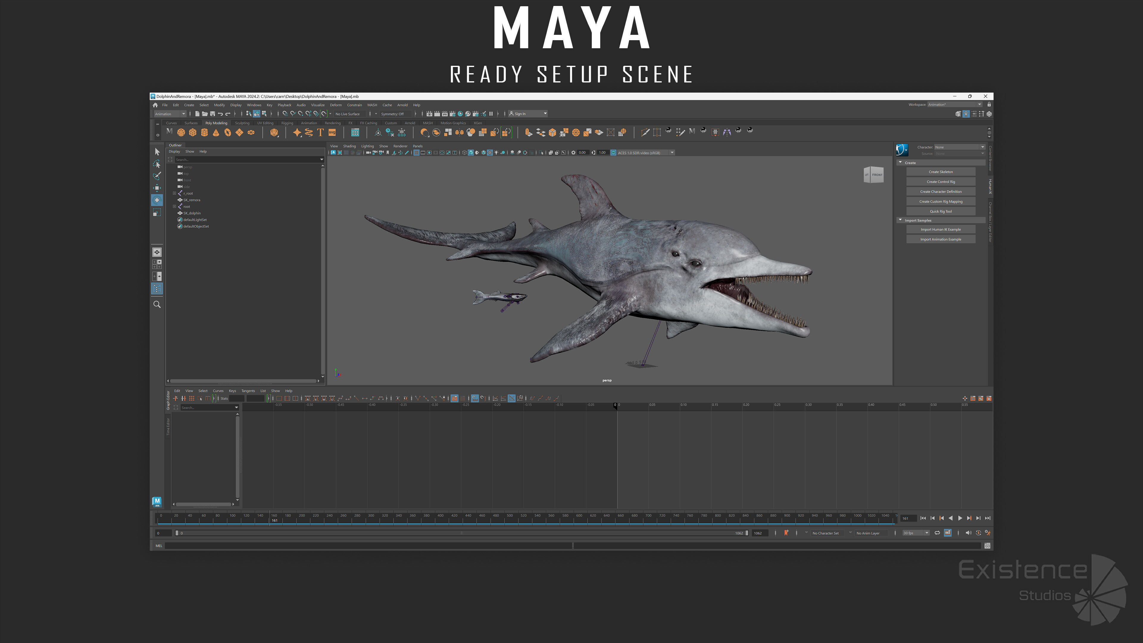 Dolphin and Remora - Realistic Animated Marine Monster - 62 Low-poly 3D model_14