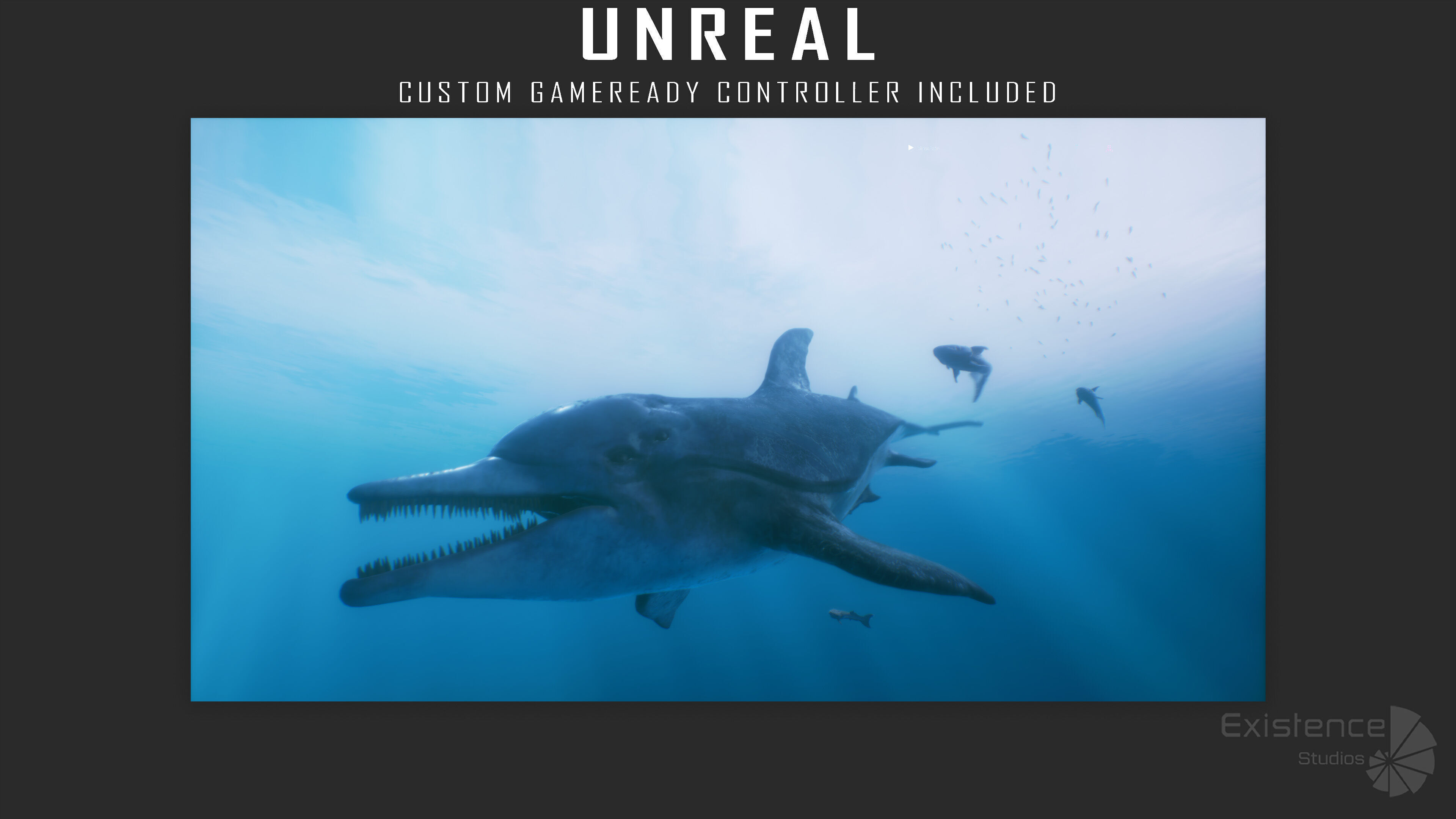 Dolphin and Remora - Realistic Animated Marine Monster - 62 Low-poly 3D model_26