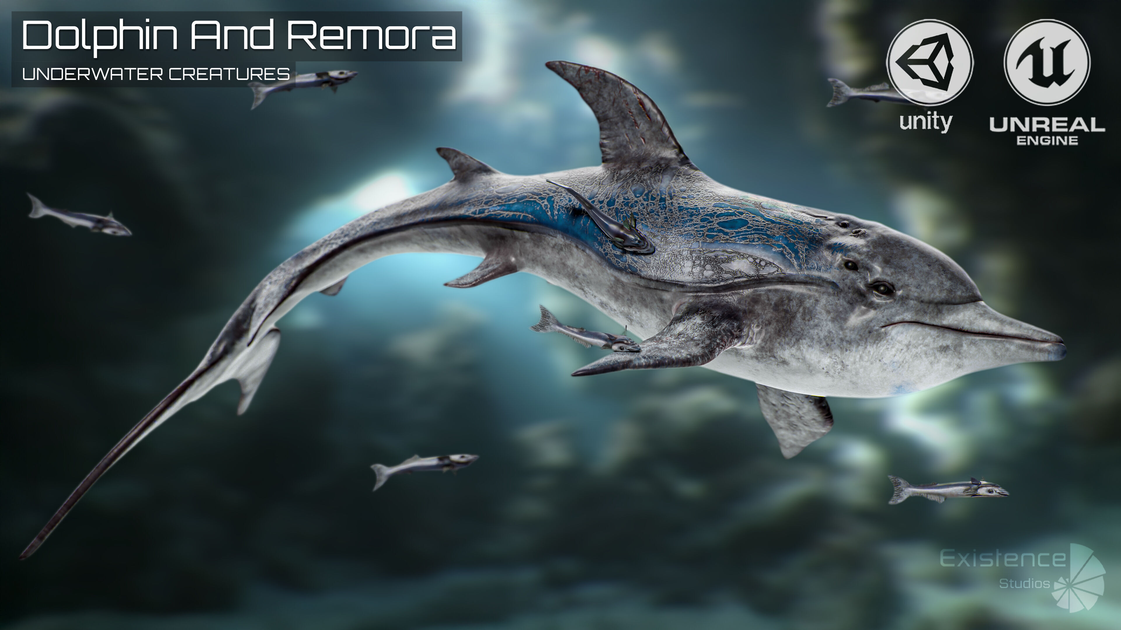 Dolphin and Remora - Realistic Animated Marine Monster - 62 Low-poly 3D model_2