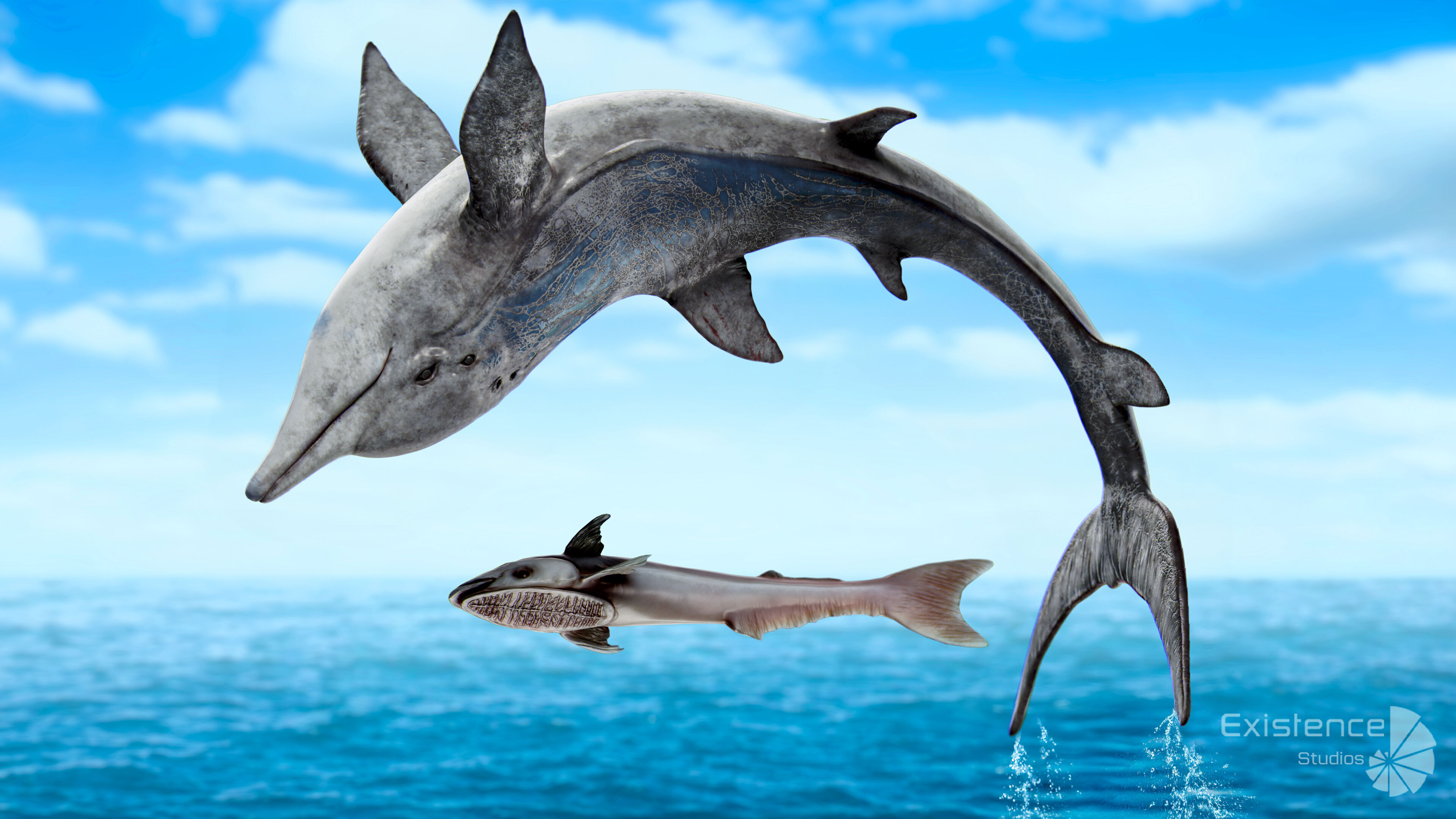 Dolphin and Remora - Realistic Animated Marine Monster - 62 Low-poly 3D model_4