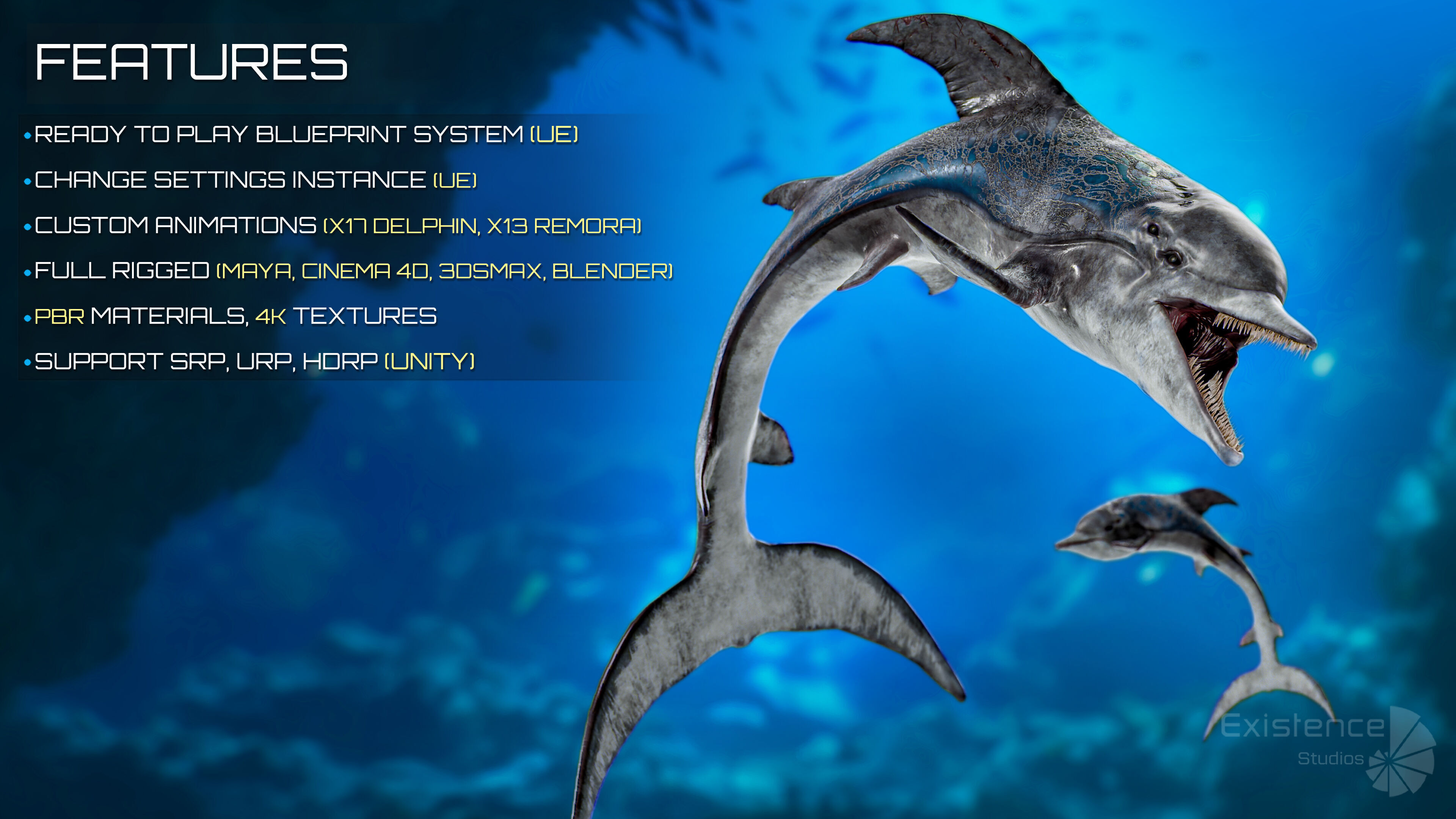 Dolphin and Remora - Realistic Animated Marine Monster - 62 Low-poly 3D model_3