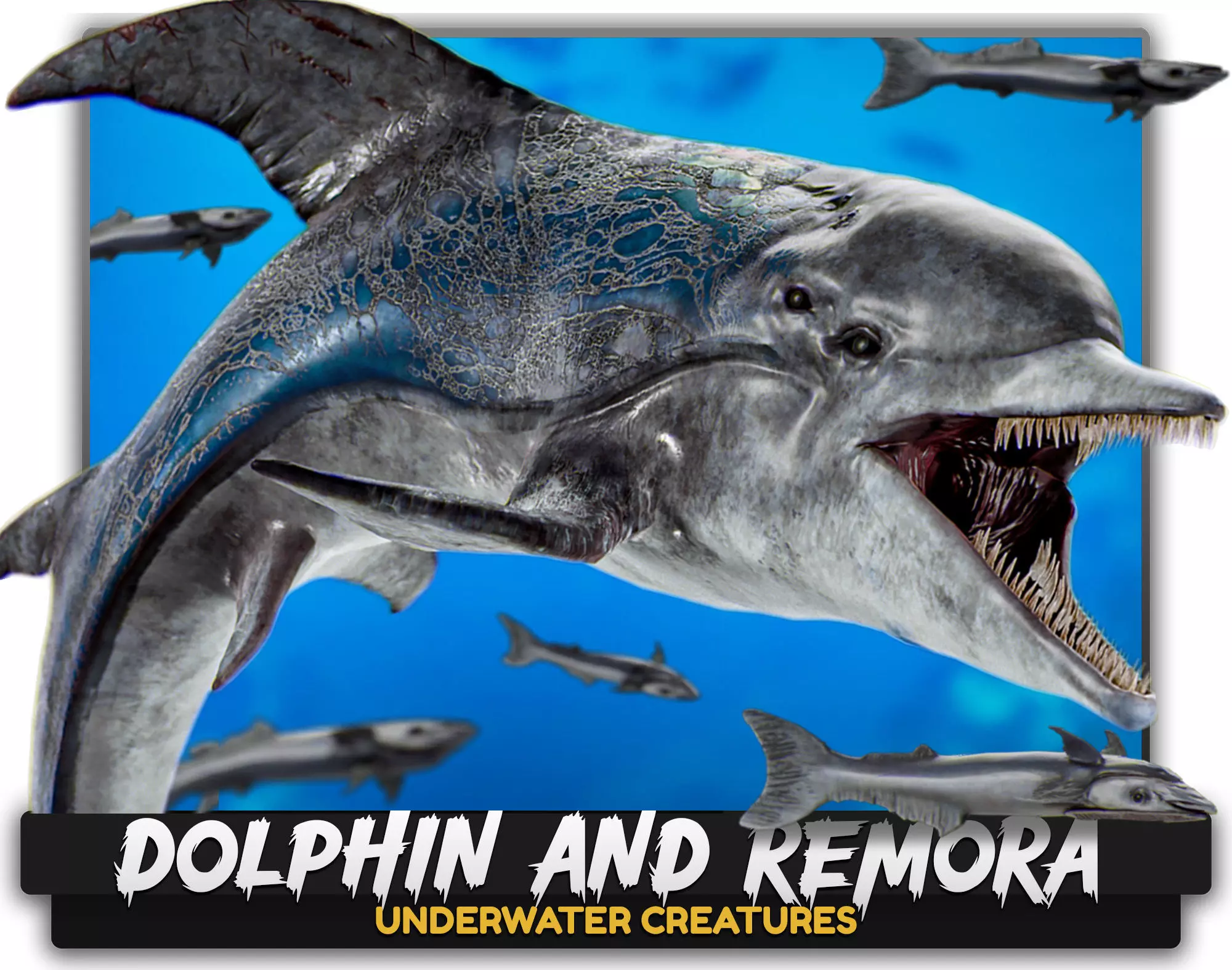 Dolphin and Remora - Realistic Animated Marine Monster - 62 Low-poly 3D model_0