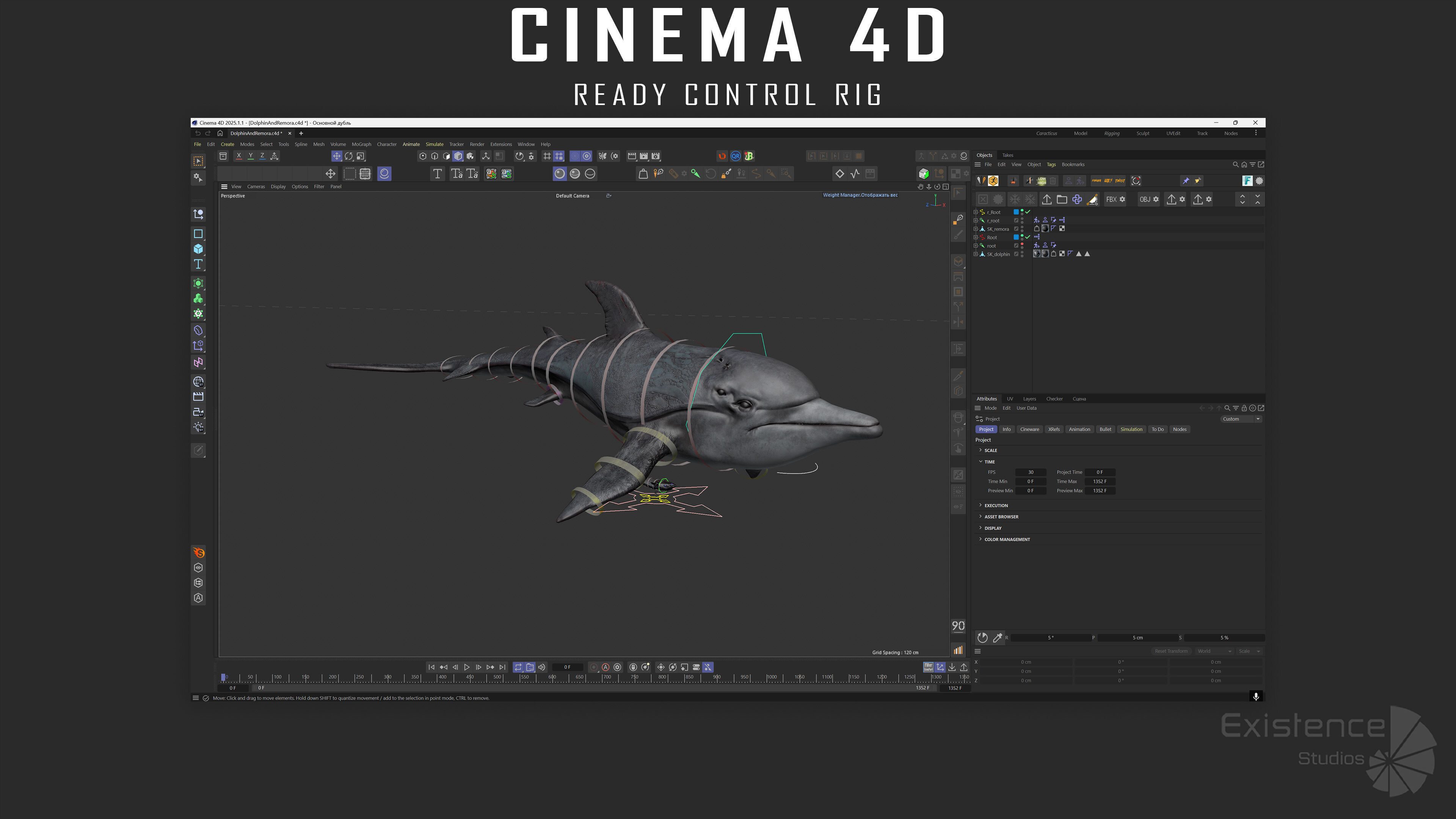 Dolphin and Remora - Realistic Animated Marine Monster - 62 Low-poly 3D model_12