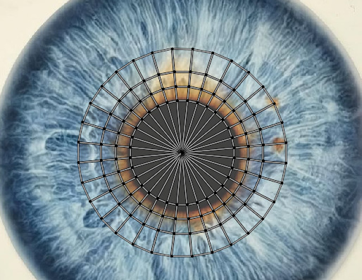 3D Boxer Character Low-Poly Optimised IK Rigged VR Game-Ready Low-poly 3D model_19