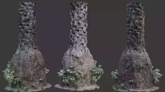 Palm Tree Trunk with Moss and Root