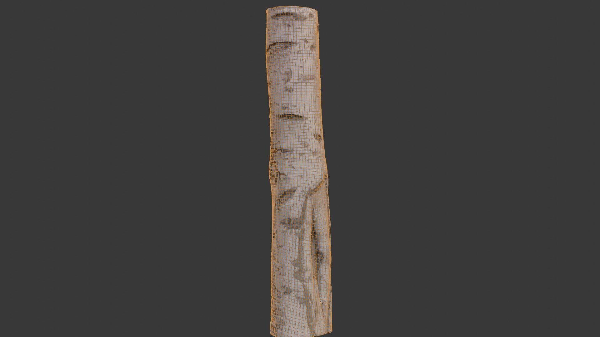 Birch Tree Trunk Scan Low-poly 3D model_2
