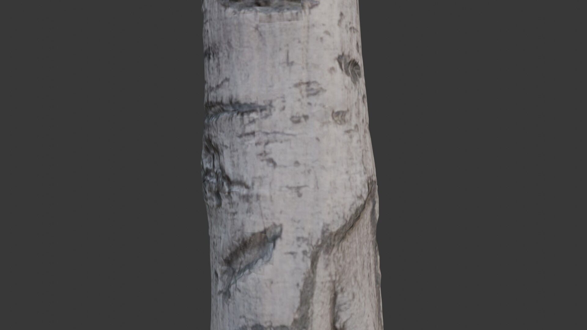 Birch Tree Trunk Scan Low-poly 3D model_3