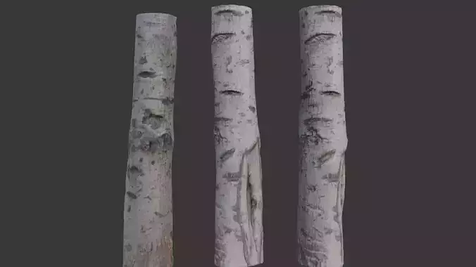 Birch Tree Trunk Scan Low-poly 3D model