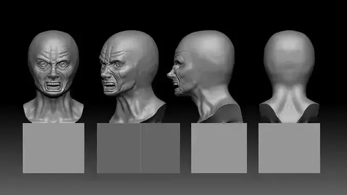 Crying Meme Sculpt 3D print model