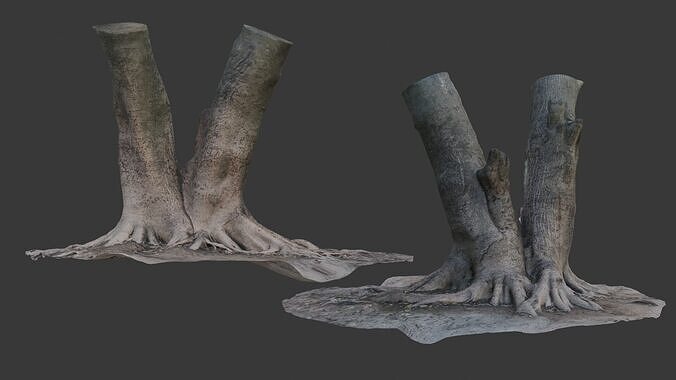 Tree Trunk with Exposed Roots 3D Scan Low-poly 3D model