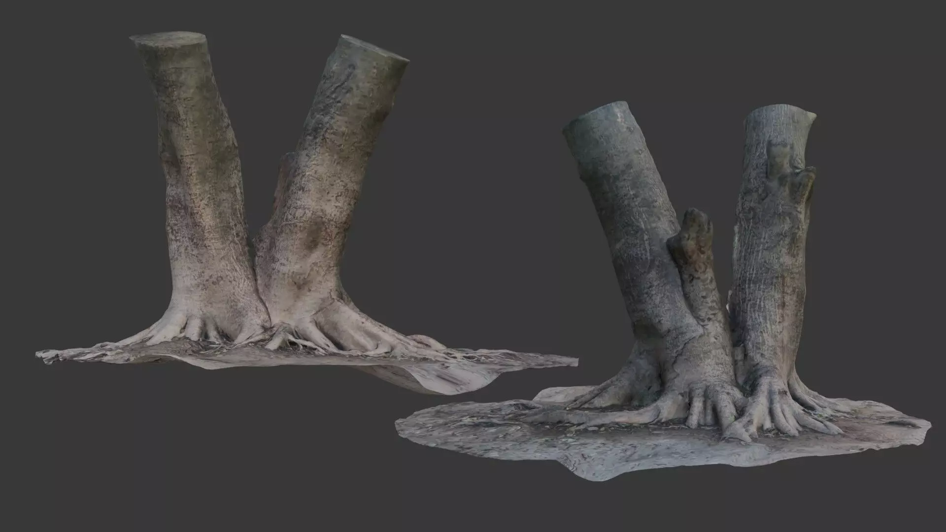 Tree Trunk with Exposed Roots 3D Scan Low-poly 3D model