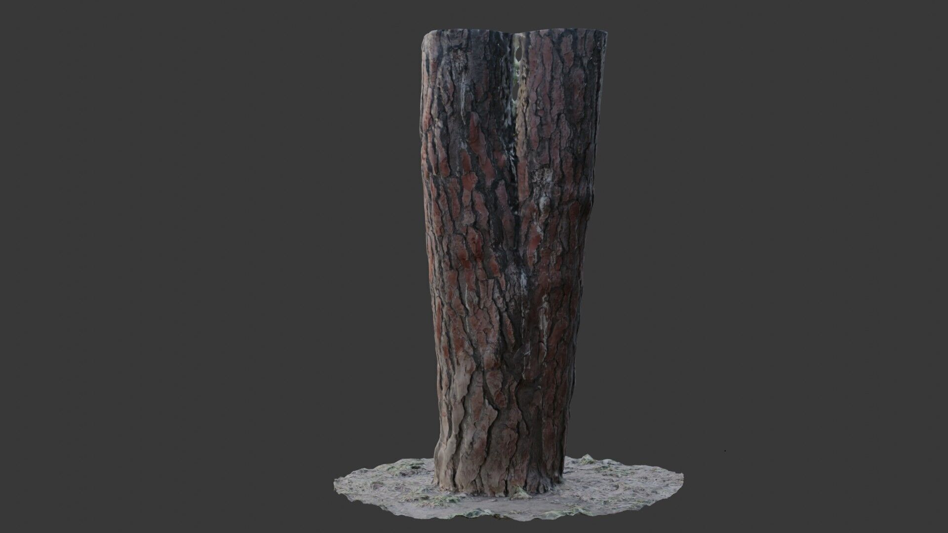 Split Pine Tree Trunk 3D Scan Low-poly 3D model_6