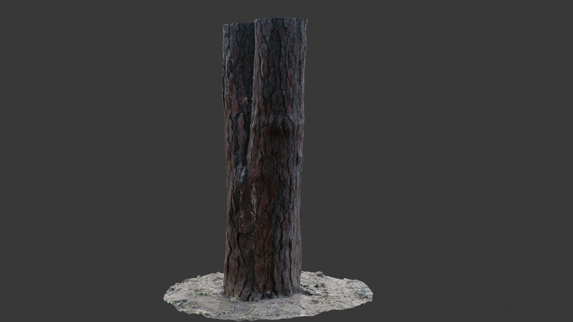 Split Pine Tree Trunk 3D Scan Low-poly 3D model_5