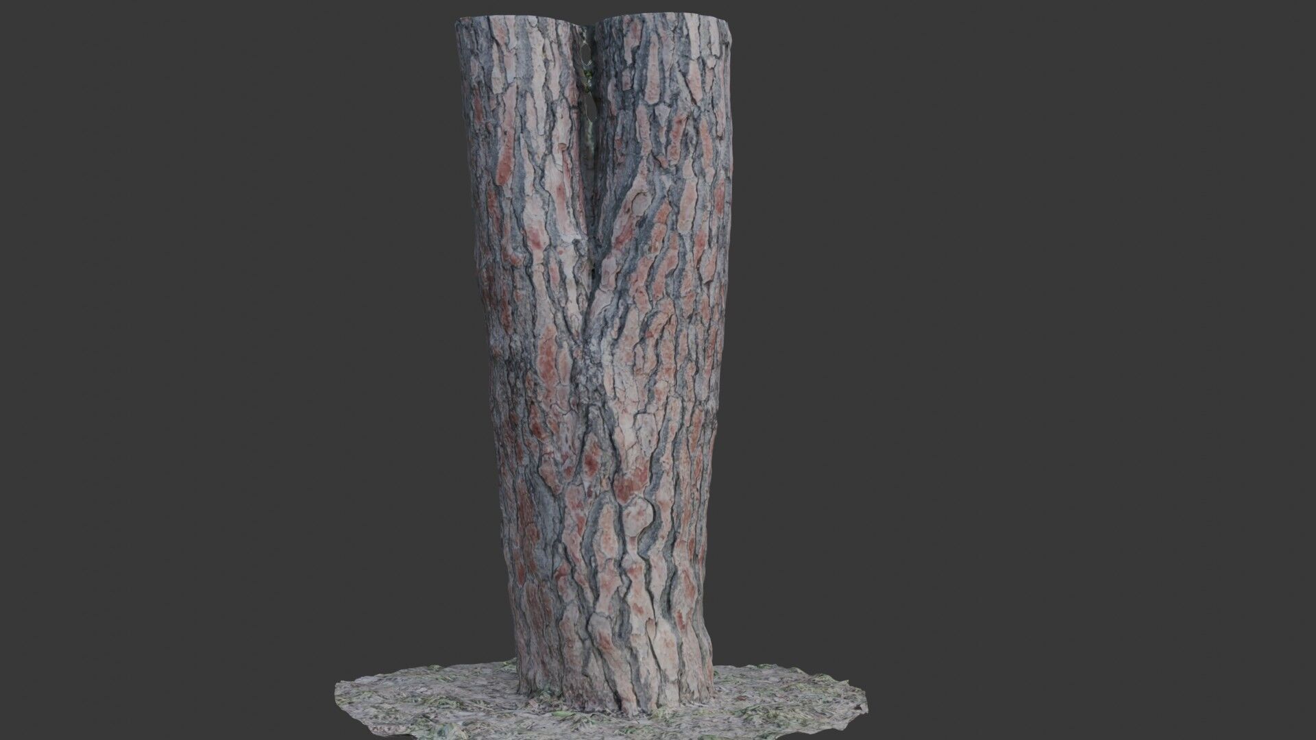 Split Pine Tree Trunk 3D Scan Low-poly 3D model_1