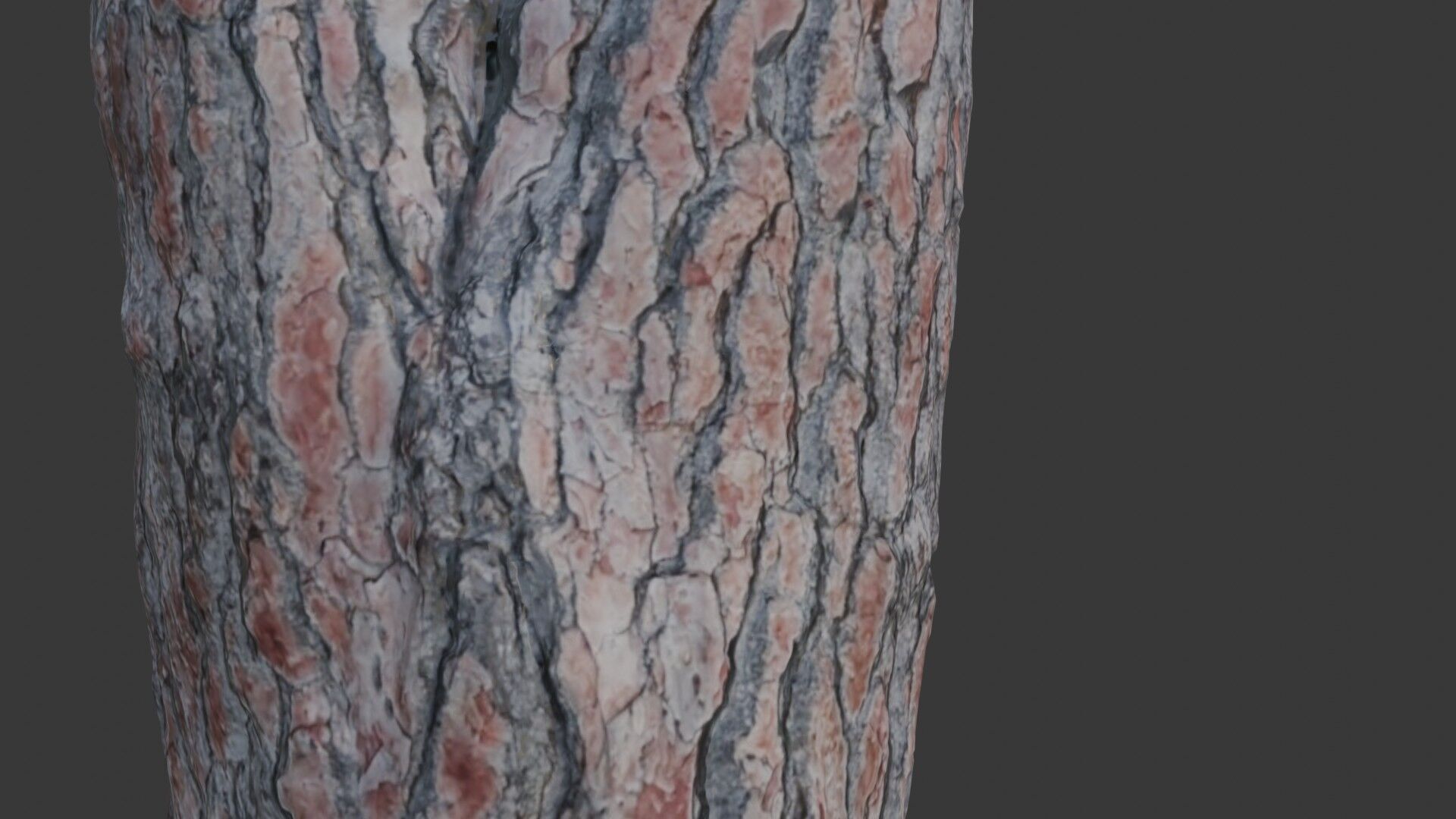 Split Pine Tree Trunk 3D Scan Low-poly 3D model_3