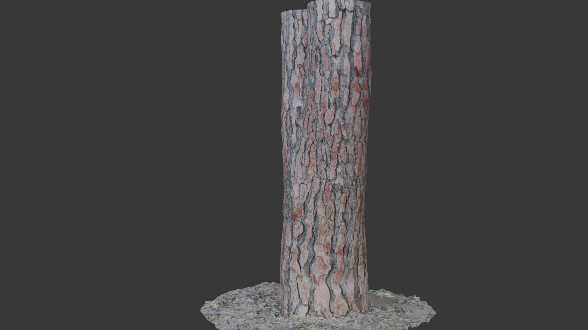Split Pine Tree Trunk 3D Scan Low-poly 3D model_7