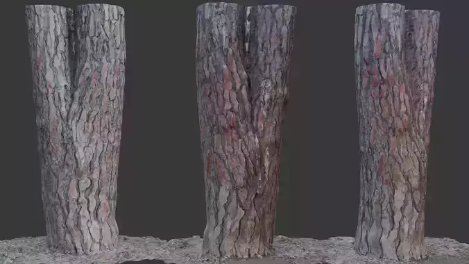 Split Pine Tree Trunk 3D Scan