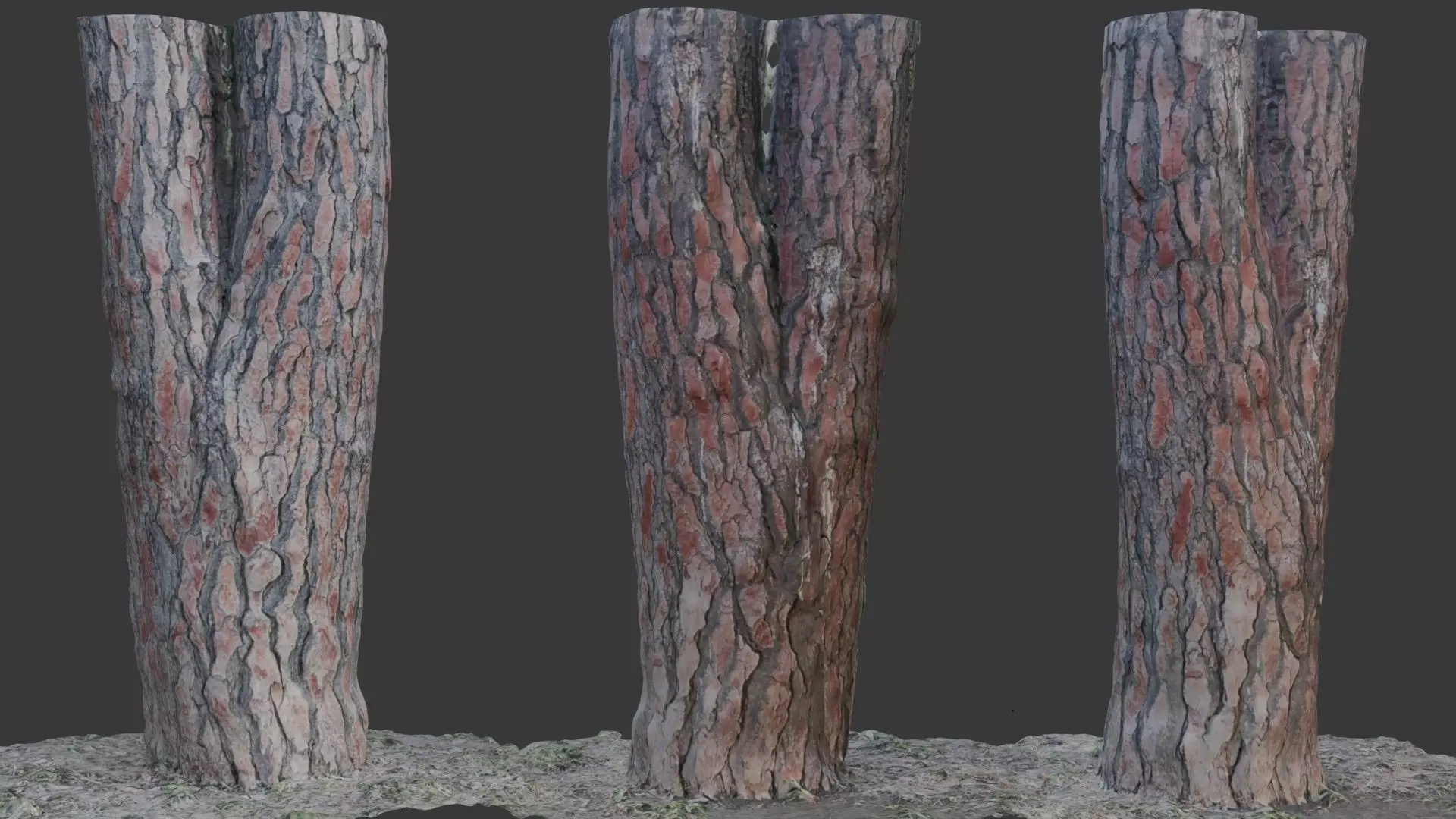 Split Pine Tree Trunk 3D Scan Low-poly 3D model_0