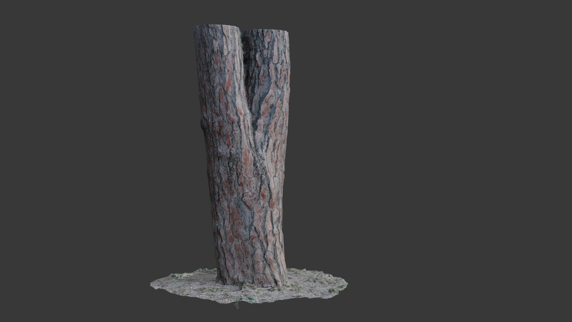 Split Pine Tree Trunk 3D Scan Low-poly 3D model_4