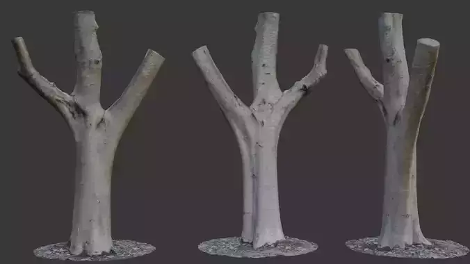  Forked Tree Trunk 3D Scan