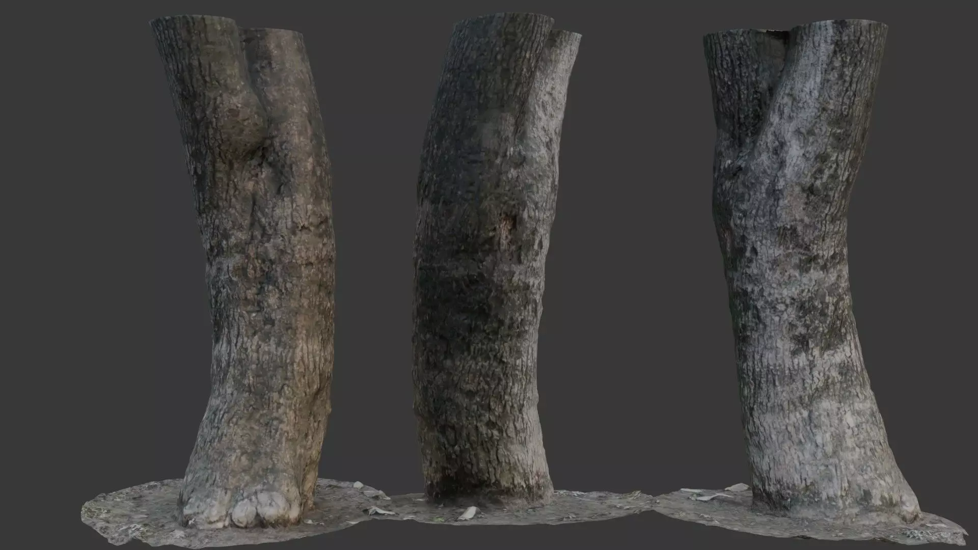 Tree Trunk Scan Low-poly 3D model_0