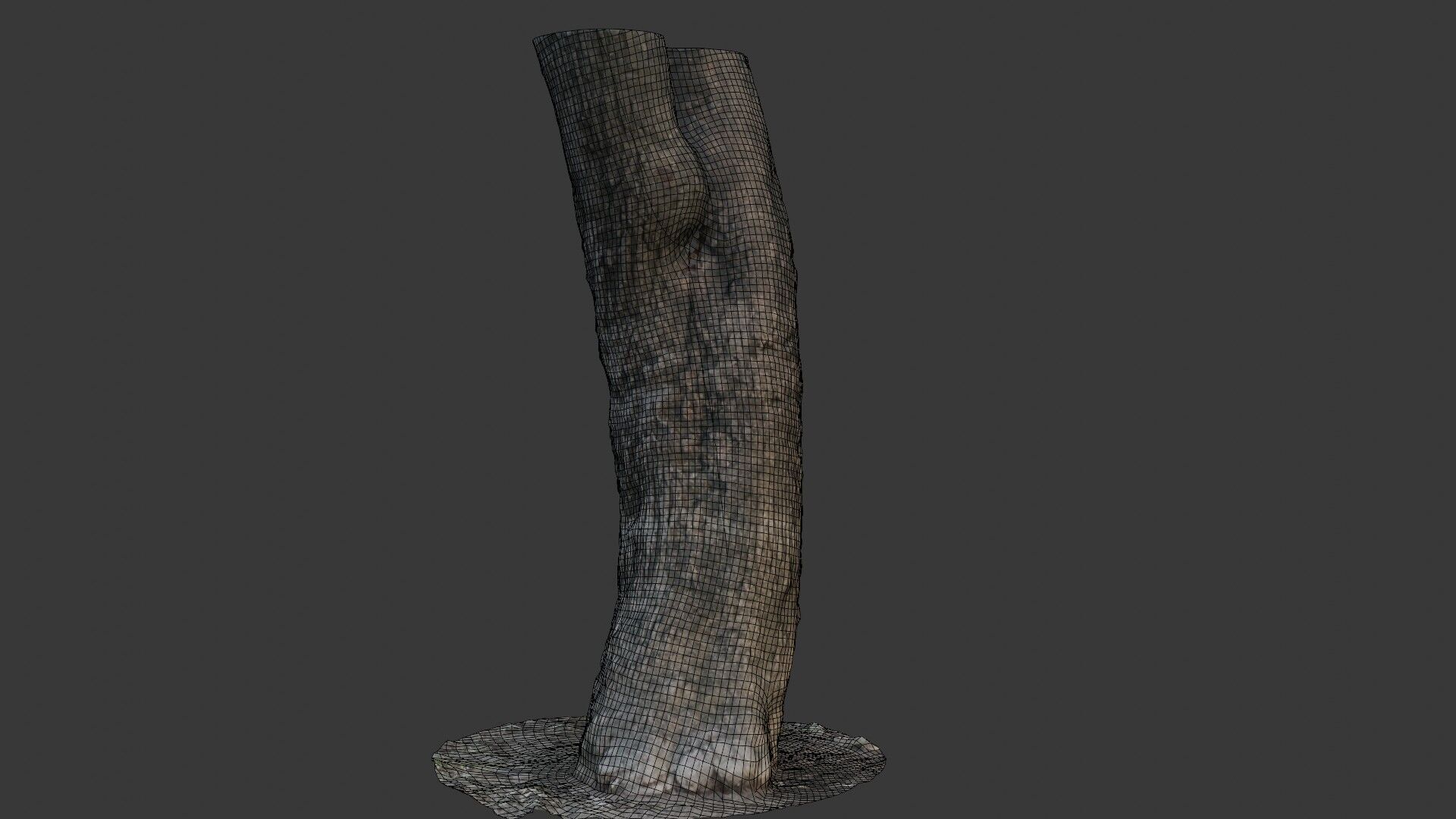 Tree Trunk Scan Low-poly 3D model_2