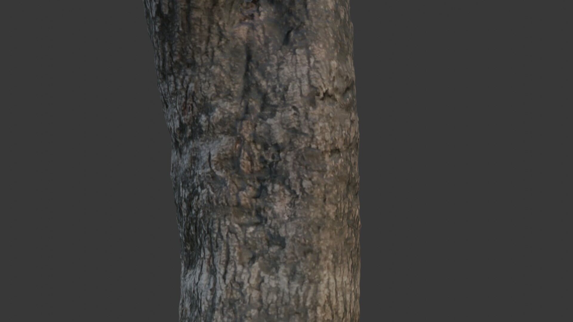 Tree Trunk Scan Low-poly 3D model_3