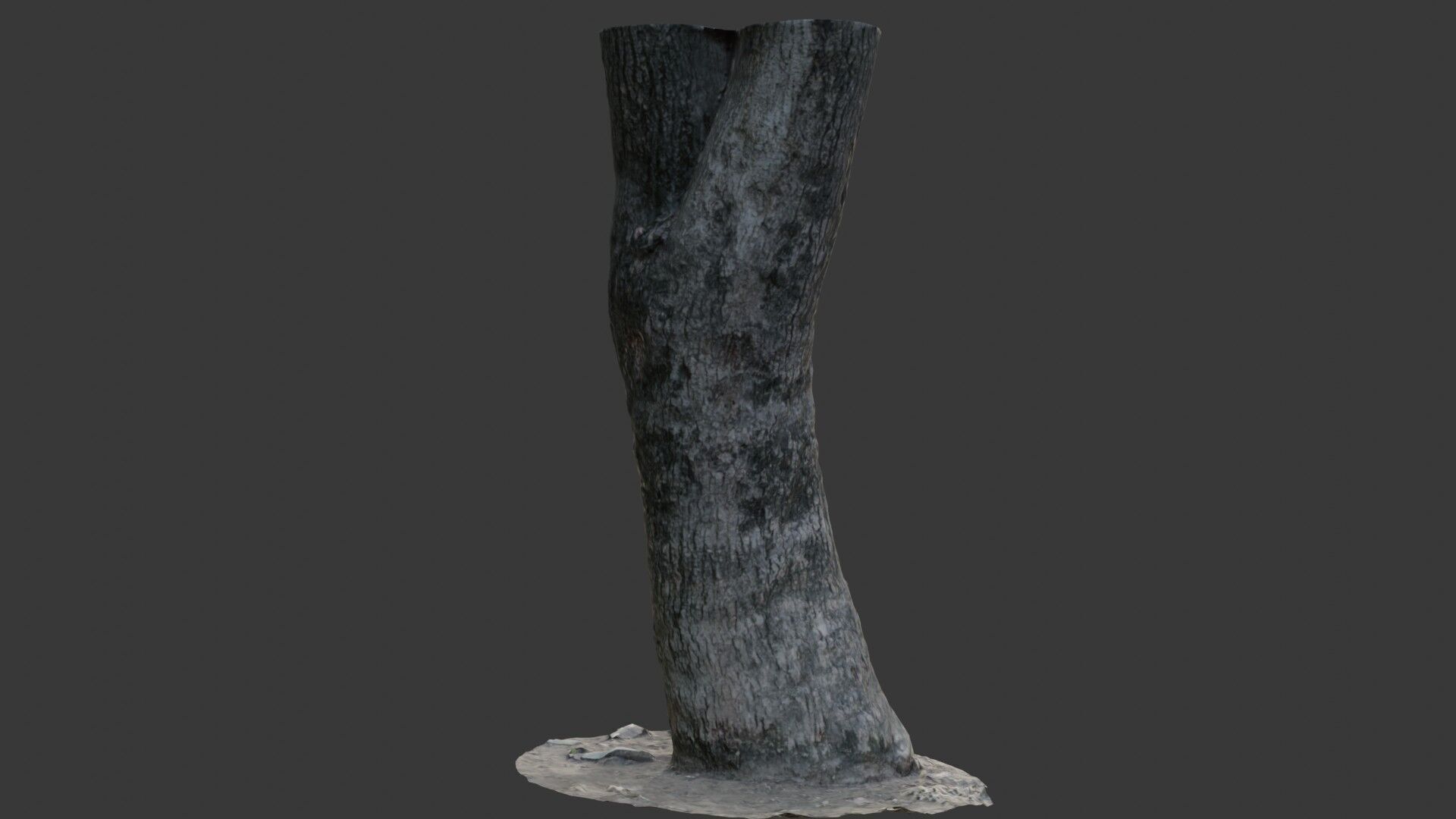 Tree Trunk Scan Low-poly 3D model_5