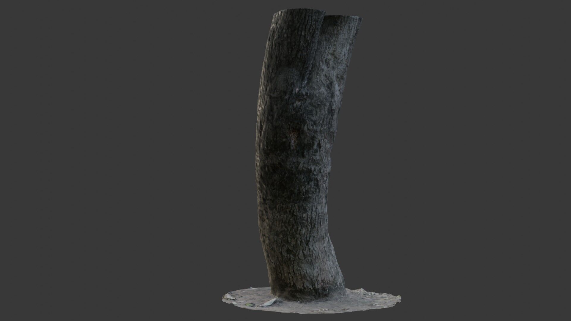 Tree Trunk Scan Low-poly 3D model_6