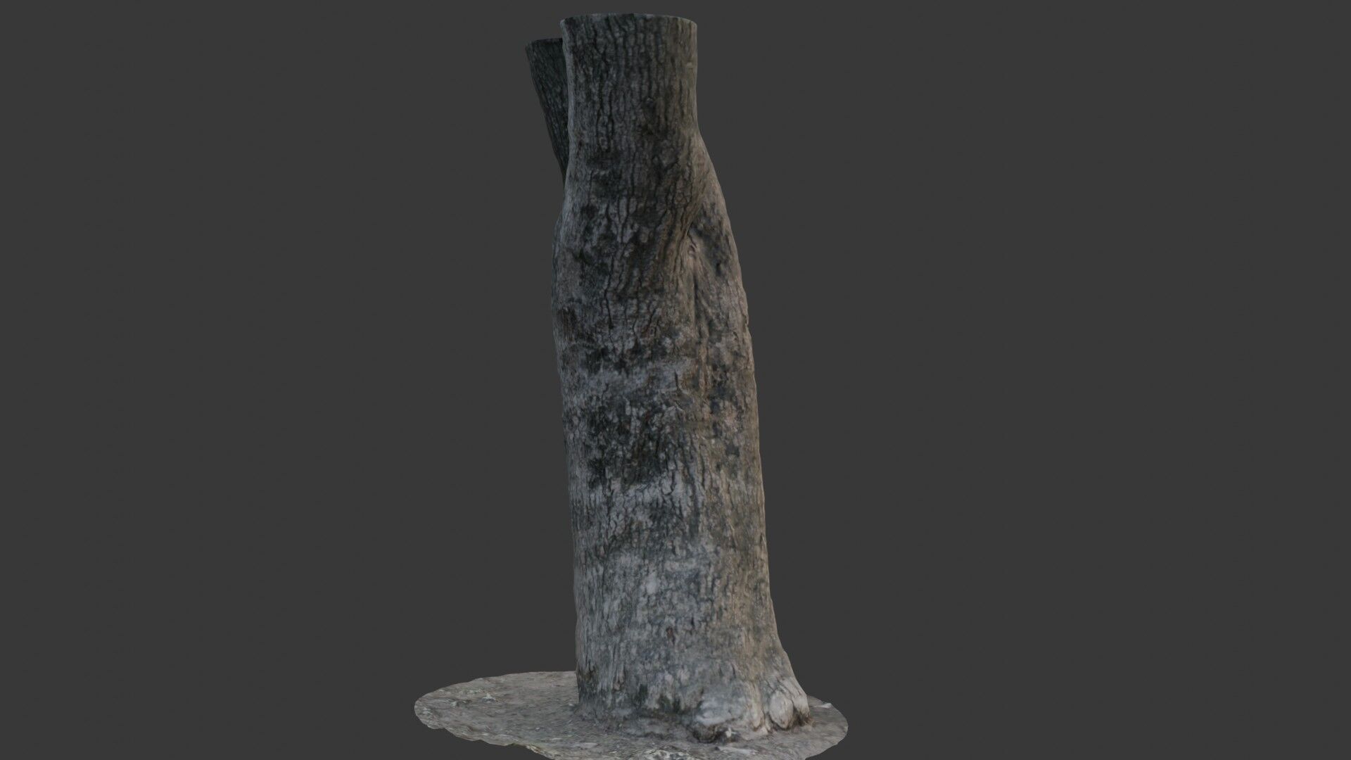 Tree Trunk Scan Low-poly 3D model_4