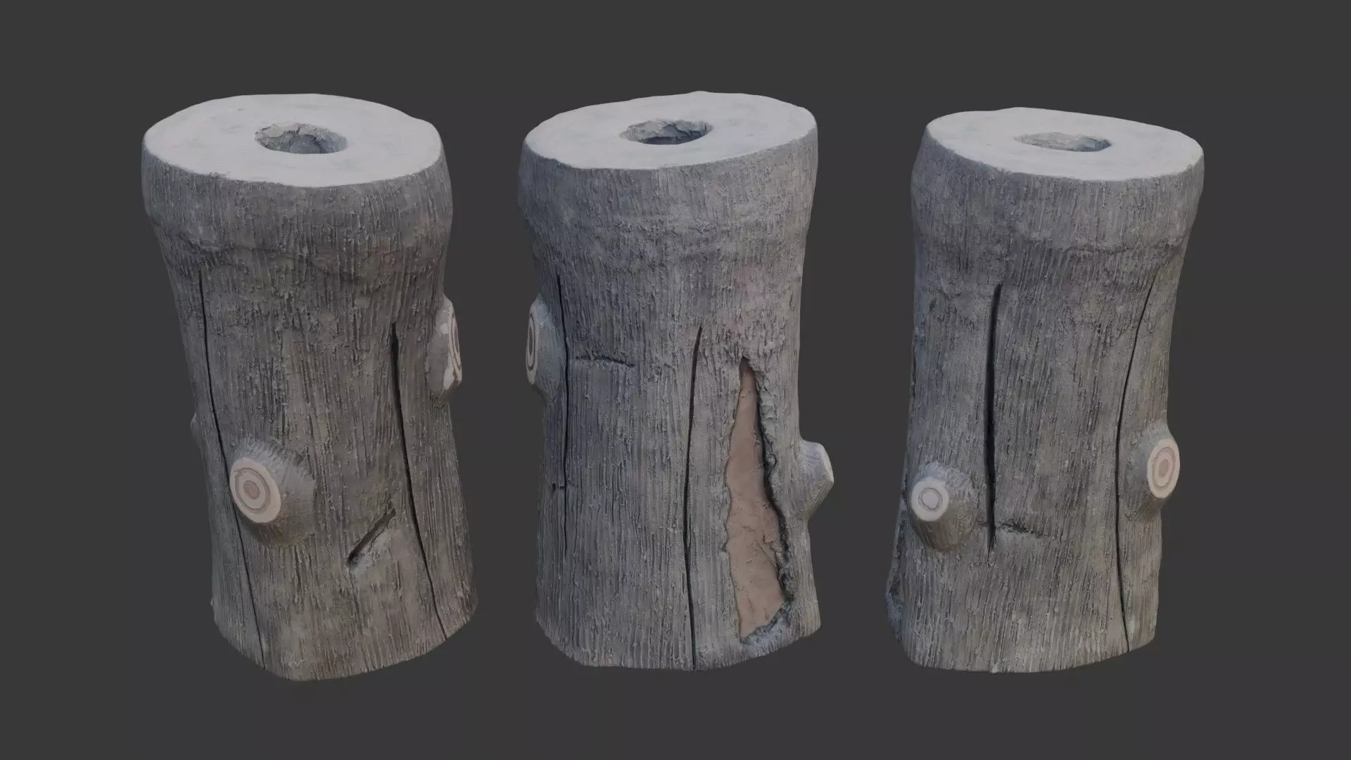 Weathered Tree Stump Scan Low-poly 3D model_0