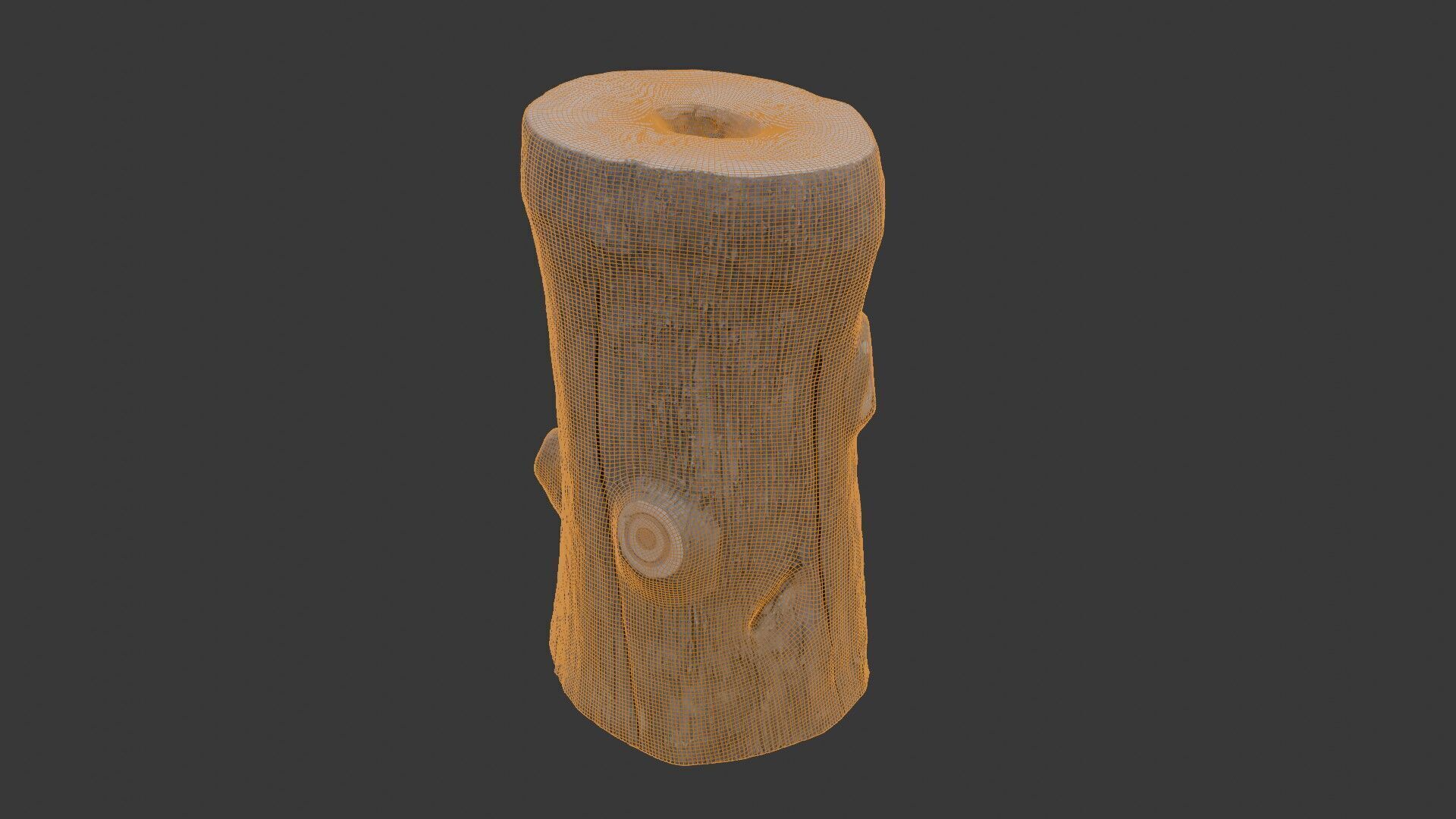 Weathered Tree Stump Scan Low-poly 3D model_2