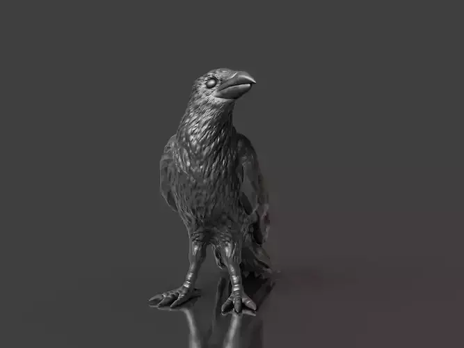 Realistic Black Bird Crow 3D print model