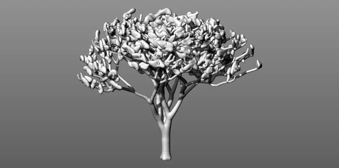 Acacia Tree Free 3D model_0