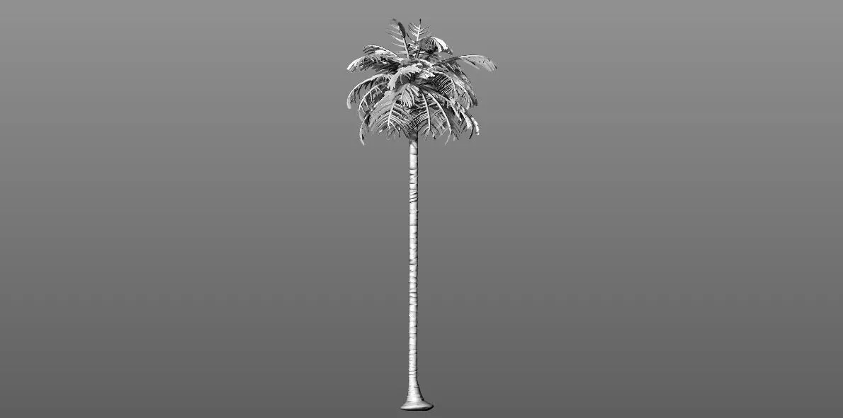 Palm Tree Free 3D model