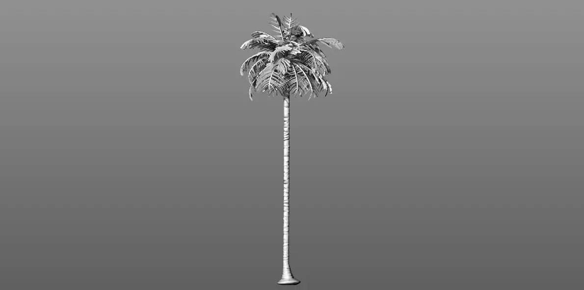 Rumus palm tree on pole Free 3D model