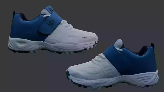 3D Scanned Sports Shoe