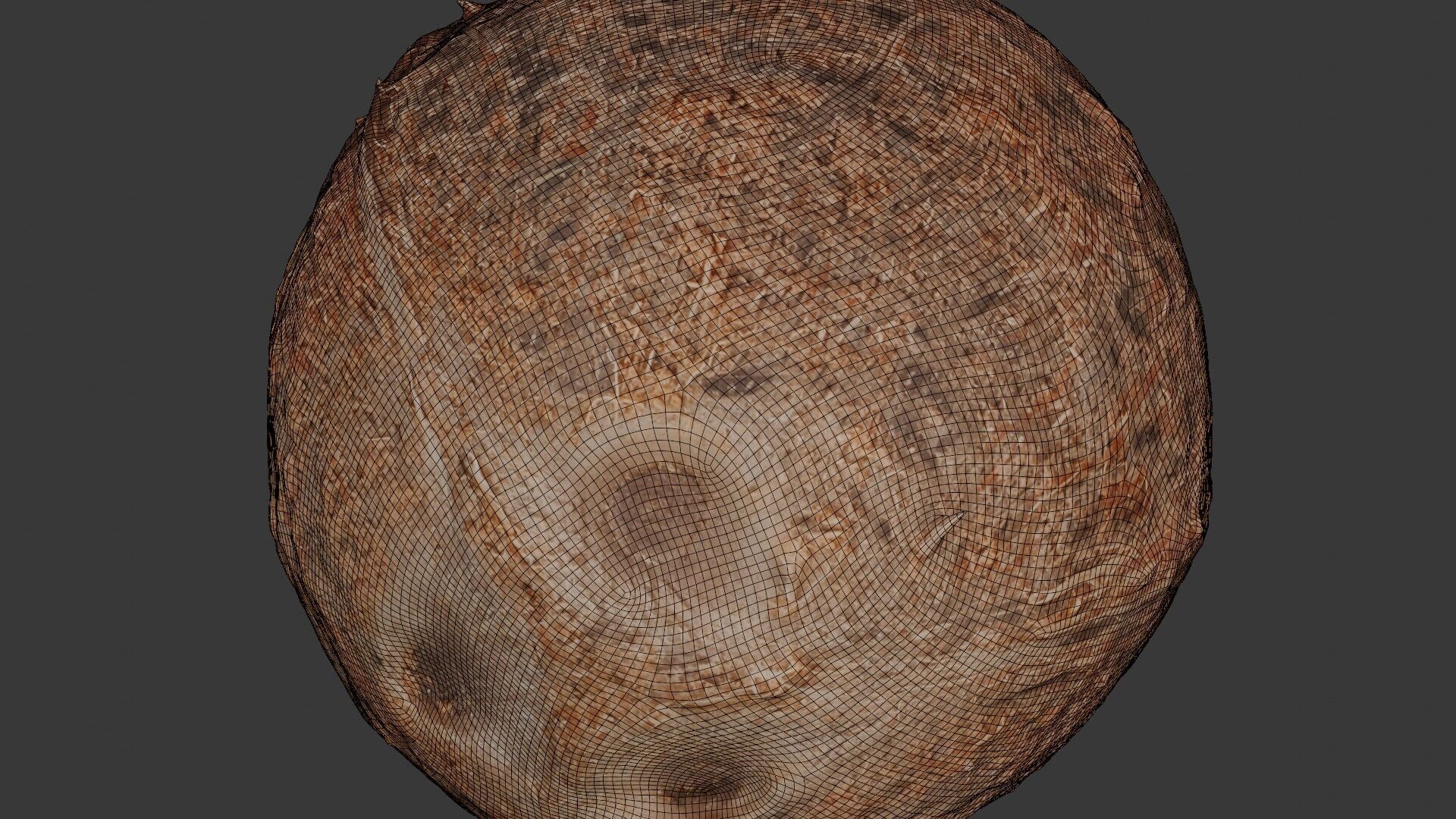Realistic Coconut 3D Model 3D model_2
