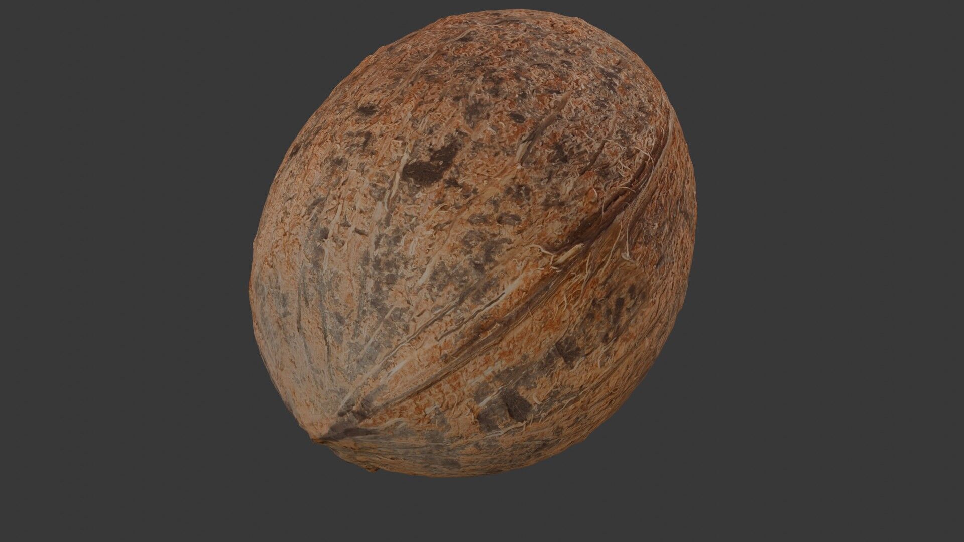 Realistic Coconut 3D Model 3D model_5