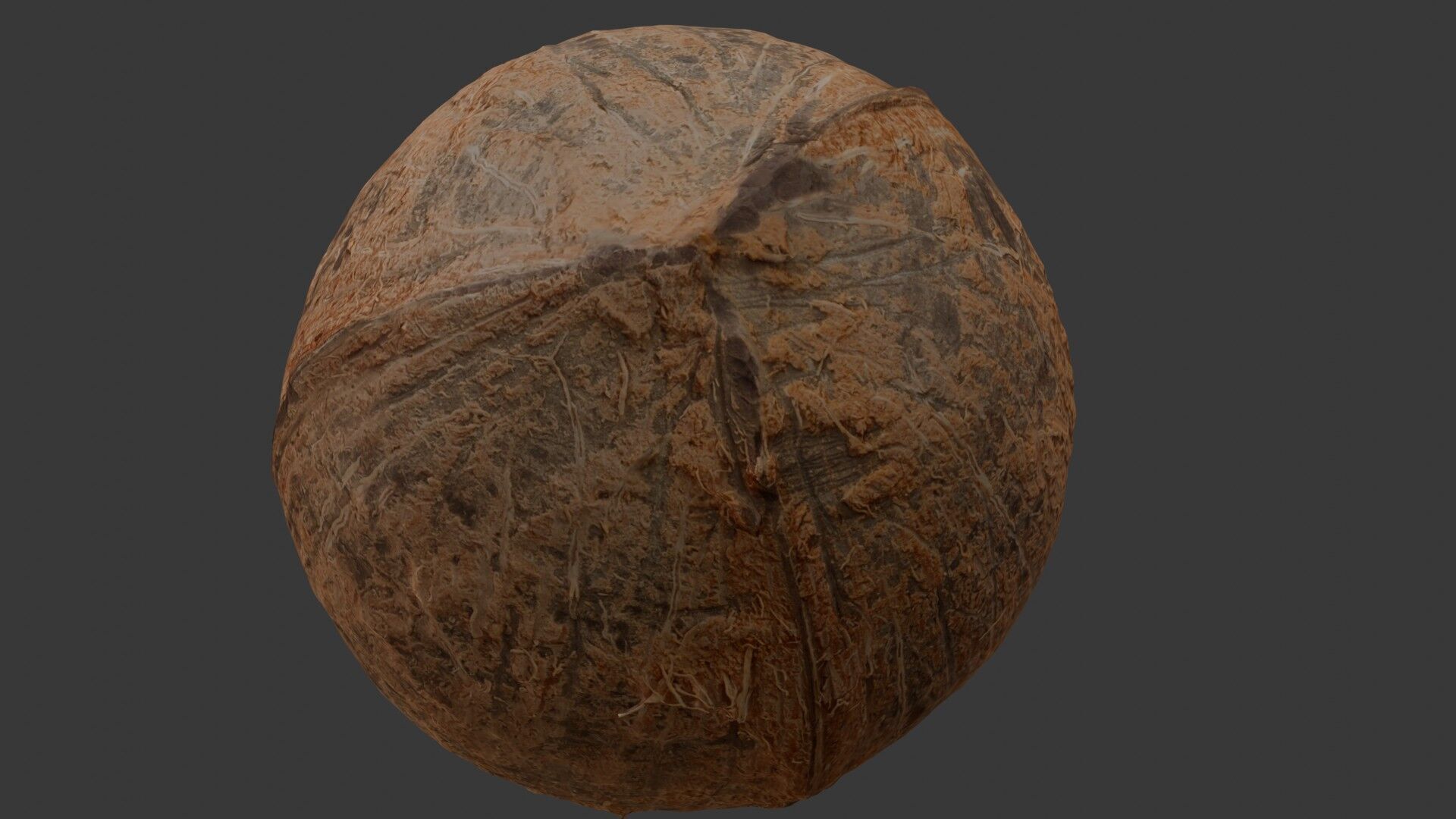Realistic Coconut 3D Model 3D model_6